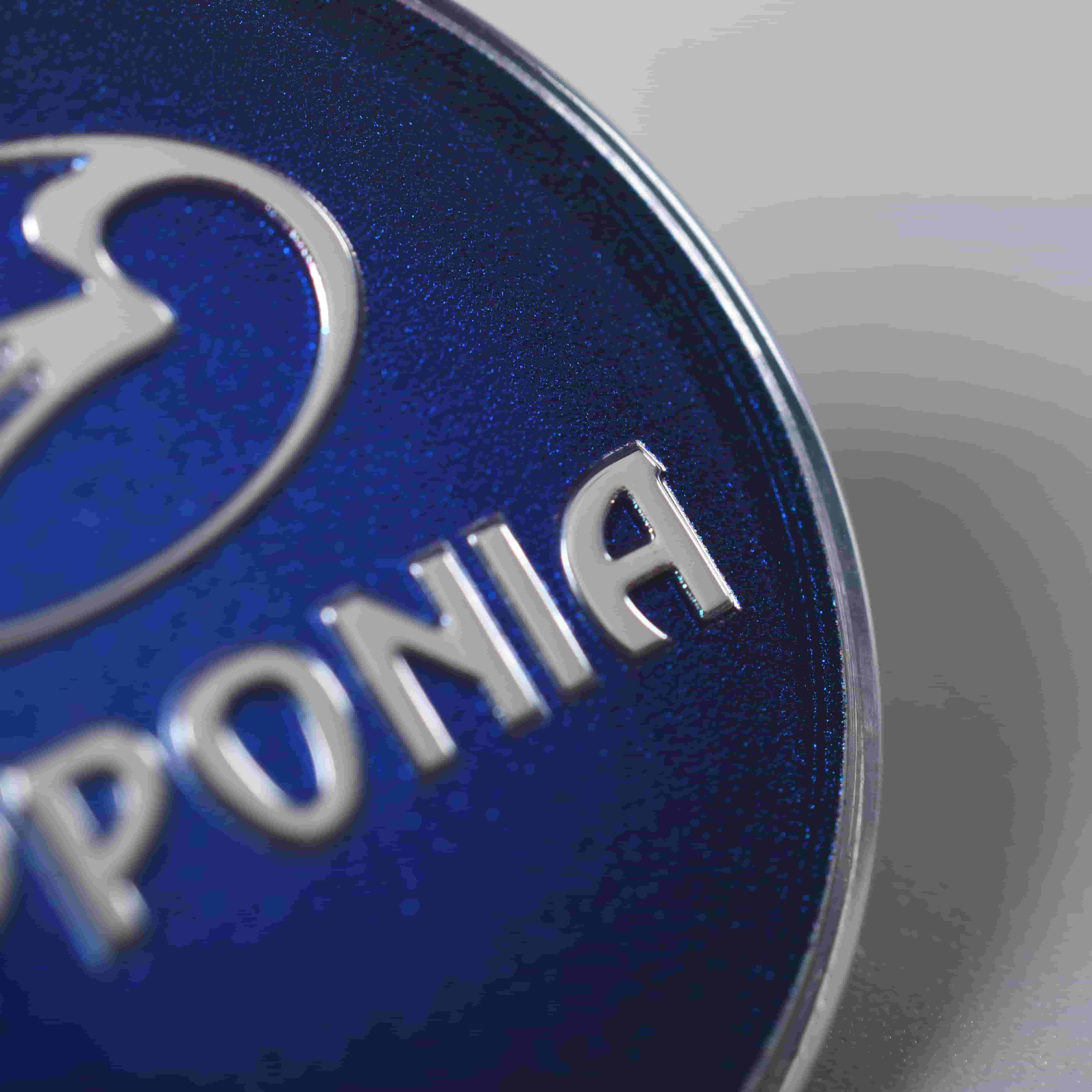 Emblème en plastique du logo 3D de gaufrage