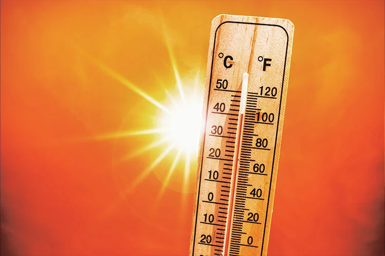 Résistants à haute et basse température et autres environnements spéciaux