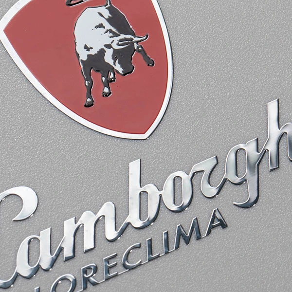 Logo résistant à la chaleur brillant en nickel